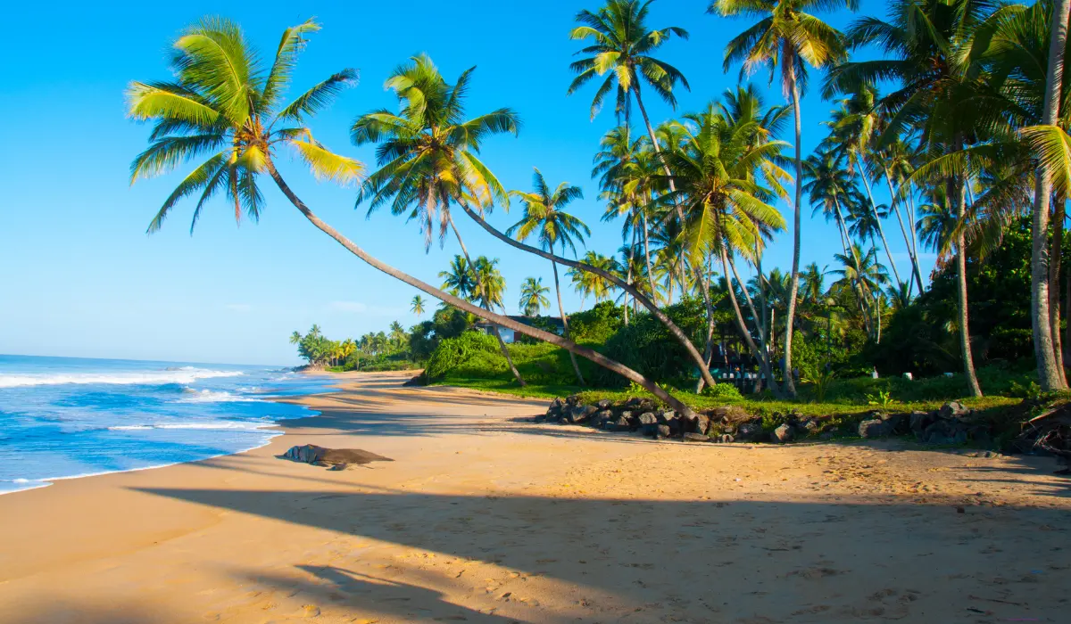 أبرز شواطئ سريلانكا عليك زيارتها اليوم